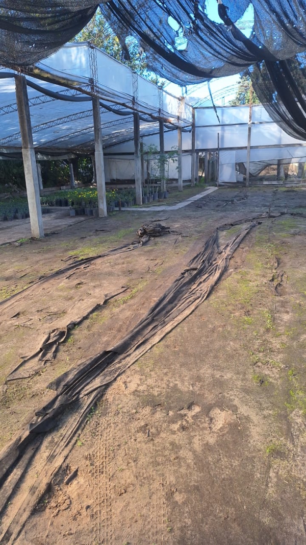 Terreno de 3.821 m² en Santo Tomé
