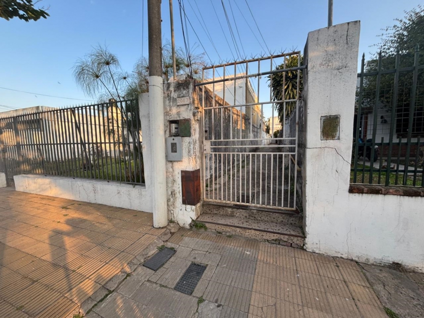 Castelli 2000 (María Selva )