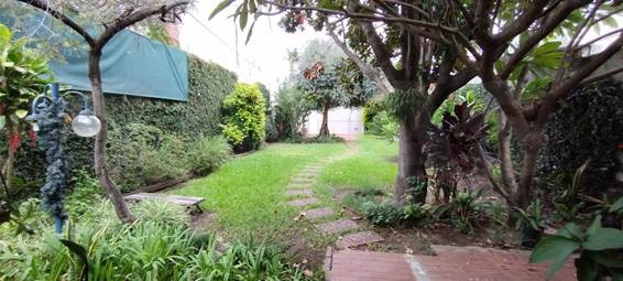 Ricardo Aldao 650 (Costanera Vieja )