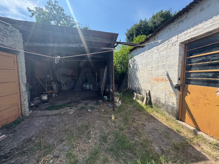 Aguado y Mendoza (Roma )